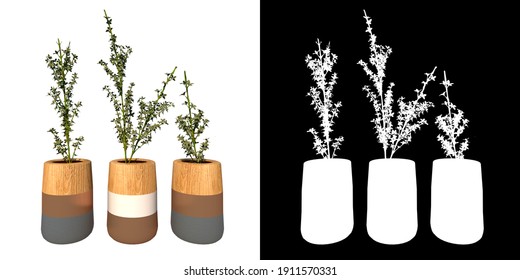 Front View Of Plant (Potted Vase With Indoor Plant 12) Tree Png With Alpha Channel To Cutout Made With 3D Render 