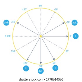 In The Frontal Lead System, The Lead Axes Of The 6 Limb Leads Form A Hexaxial Reference System, Which Is One Of The Important Theories Of Electrocardiography.