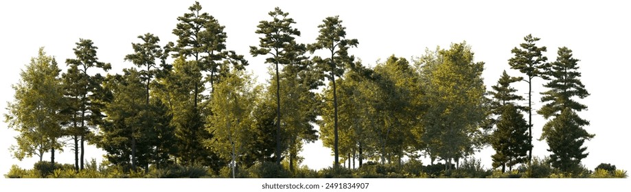 Vista frontal Bosque árboles