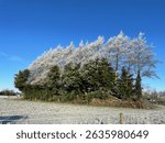 Frosty morning in Edenderry county Offaly in Ireland . 