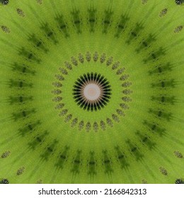 Fruit Theme Kaleidoscope Design For Business And Creative Design. Green Kaleidoscope Background With Kiwi Fruit Pattern.