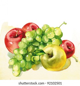 Fruit, Watercolor Painting On White Background