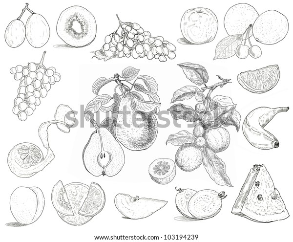 Fruits set\
illustration