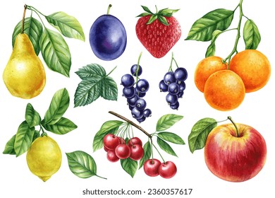 Fruits set on isolated white background, watercolor botanical painting. Orange, cherry, Lemon, Strawberry, plum and pear - Powered by Shutterstock