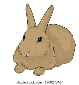 Full Body Illustration White Rabbit Stock Illustration 1908278467