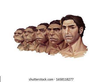 Full Color Iconic Illustration Of Darwin Evolution Theory, Realistic Style Version