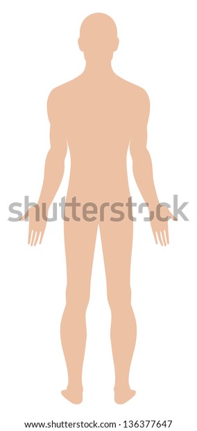 Full Length Back View Standing Naked Stock Illustration 136377647