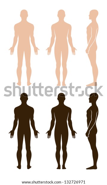 Full Length Profile Front Back View Stock Illustration 132726971