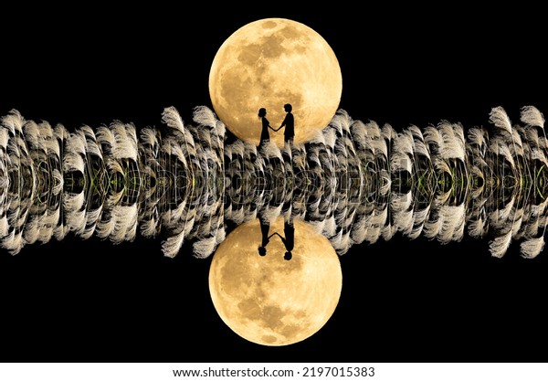 The full moon and the pampas grass\
swaying in the wind are reflected on the surface of the lake.\
A\
silhouette of a couple pledging eternal love on the\
lakeside.