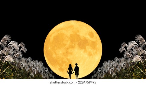 The Full Moon Rises From The Other Side Of The Road With Pampas Grass On Both Sides. Silhouette Of A Couple Looking At The Full Moon.