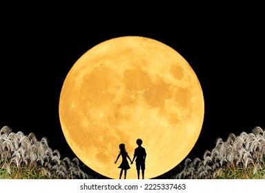 The Full Moon Rises From The Other Side Of The Road With Pampas Grass On Both Sides. Silhouette Of A Couple Looking At The Full Moon.