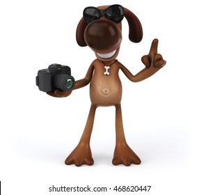 Fun dog