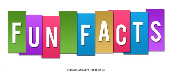 Fun Facts Colorful Stripes 