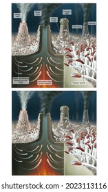 Functioning of a hydrothermal vent and its ecosystem associated with its characteristic fauna. Illustration with and without caption in English.