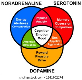 6,538 Dopamine Images, Stock Photos & Vectors | Shutterstock