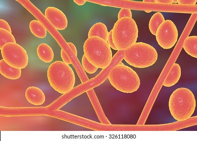 Fungi Trichophyton Rubrum Which Cause Tinea, Athlete's Foot, Ringworm, Jock Itch And Similar Infections Of The Skin, Nail, Beard And Scalp On Colorful Background