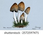 A fungus (Coprinus atramentarius): five fruiting bodies in grass. Watercolour by E. Wheeler, 1893. Vintage fungi drawing illustration painting. Vintage mushroom illustration painting.