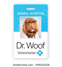 Funny Animal Doctor Name Badge. Identification Placard Of A Veterinarian Dr. Woof, A Labradoodle Dog With Glasses And Stethoscope. Picture ID Tag Used In Hospital And Secure Areas. Isolated On White.