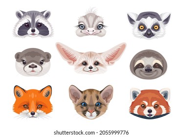 Funny animal faces or heads isolated on white background. Wild animals set. Cartoon cute cougar cub, sloth, red fox, fennec, lemur, red panda, otter, ostrich and raccoon  illustration.