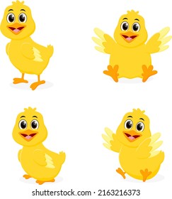 Funny Baby Chick Set With Different Poses Isolated On White Background