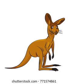 Cute Kangaroo Cartoon Isolated On White Stock Vector (Royalty Free ...