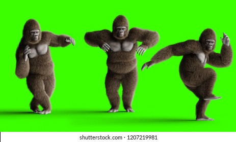 Funny brown gorilla dancing. Super realistic fur and hair. Green screen. 3d rendering.
