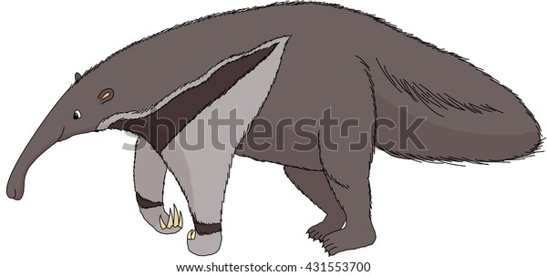 Funny Cartoon Anteater Isolated On White Stock Illustration 431553700