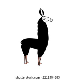 Funny Cartoon Style Llama Or Alpaca. White Background With A Hairy Body