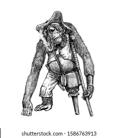 Funny Chimp Pirate. Big Ape With A Pipe. Chimpanzee Illustration.