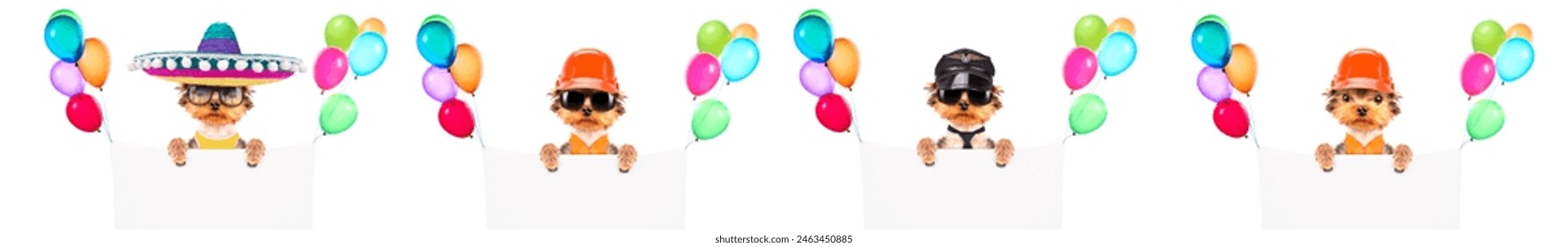 Funny cute dog with Holiday banner and colorful balloons. - Powered by Shutterstock