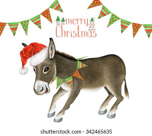 Donkey novelty holiday Christmas greeting card set
