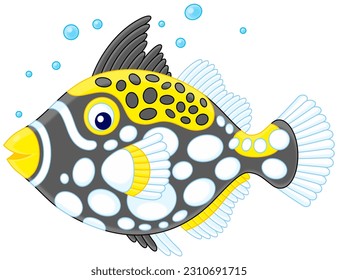 Funny exotic clown triggerfish