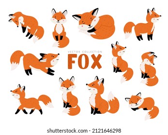 Funny fox set. Cartoon forest animals, mammals with cute emotions on faces, illustration of orange foxes of wildlife around logo isolated on white background