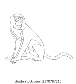 Funny Monkey White Background Illustration