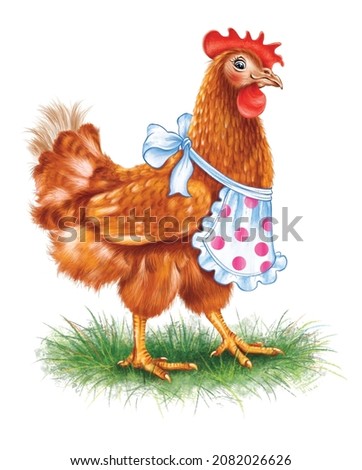 Funny mother chicken cook. A red-haired hen in an apron with polka dots on a white background.  Bird on the grass. Good for print, postcards. Children's illustration. Picture for children's book.