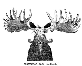 Funny Old Hipster Moose With Huge Antlers, Handlebar Mustache And Scraggly Beard, Fun Silly No Shave November Illustration Or National Fake Mustache Day Design