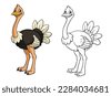ostrich drawings