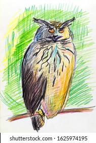 Featured image of post Colored Pencil Owl Coloring Pages Colored / Sharing how i color owls using prismacolor colored pencils.