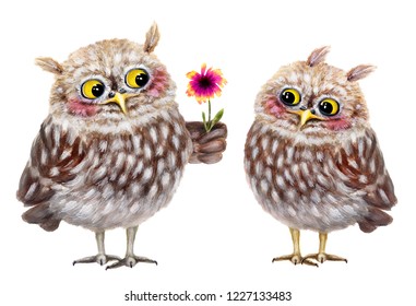 Funny owls on a date. Hand drawn watercolor