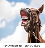 Funny portrait of smiling horse with unreal white teeth, with copy space.