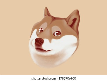 Funny Shiba Inu Meme Illustration