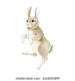 Funny small hopping rabbit watercolor illustration. Happy cute dancing bunny hand drawn image. Fluffy farm animal isolated on white background. 