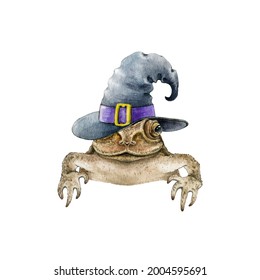 Funny toad frog in