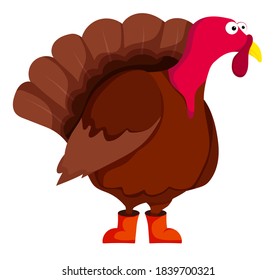 Similar Images, Stock Photos & Vectors of A cute turkey farm animal ...