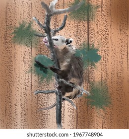 Furry Possum Sitting On The Fig Tree In Digital Watercolour Technique 