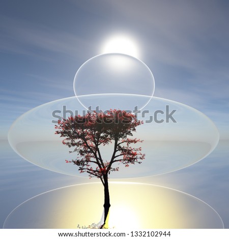 Similar – Image, Stock Photo The Sun goes down Sunset