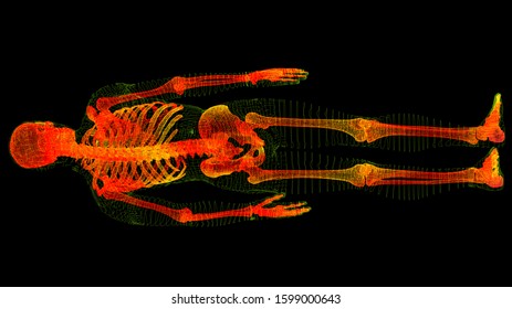 Futuristic head up display motion element virtual biomedical holographic human body scan neurological examination, axial skeleton, vertebral column, DNA and heart diagnostic for background display