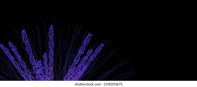 Futuristic neon bush from molecules background. Blooming flower made of purple atomic particles with 3d render lines in dark. Abstract design with bright stripes and round elements - Shutterstock ID 2190293675