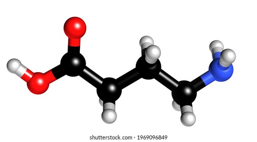 GABA, Gamma Aminobutyric Acid 3D Illustration