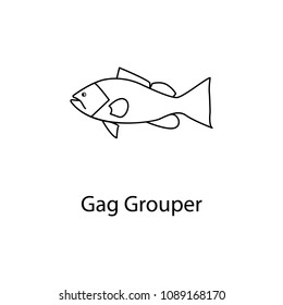 Gag Grouper Icon. Element Of Marine Life For Mobile Concept And Web Apps. Thin Line Gag Grouper Icon Can Be Used For Web And Mobile. Premium Icon On White Background